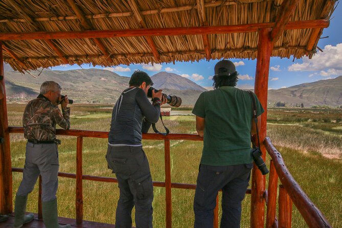 Birdwatching at Huacarpay Wetland in Cusco - Frequently Asked Questions