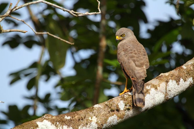 Birdwatching at Mundo Aventura Natural Park - Park Overview