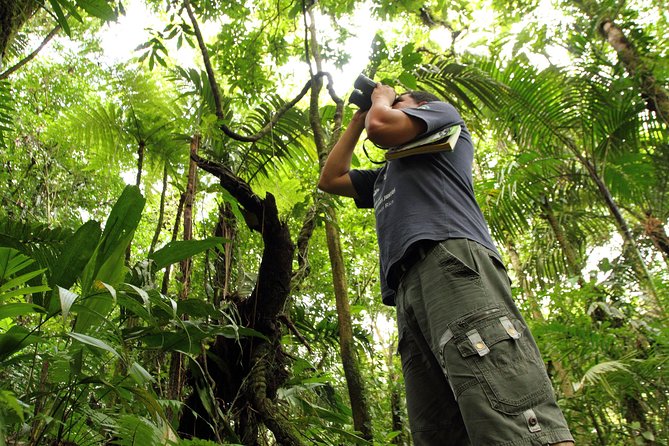 Birdwatching at Mundo Aventura Natural Park - Birdwatching Tour Details