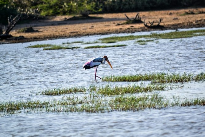 Birdwatching Boat Ride in Kalametiya Sanctuary - Booking Details