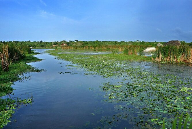 Birdwatching Boat Ride in Kalametiya Sanctuary - Customer Reviews