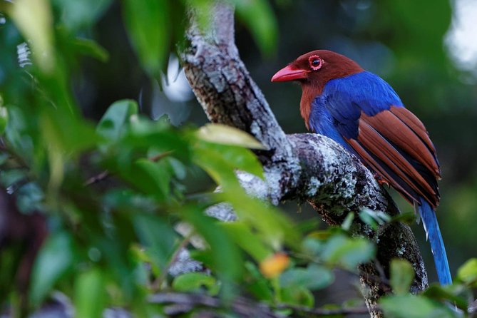 Birdwatching Boat Ride in Kalametiya Sanctuary - Frequently Asked Questions