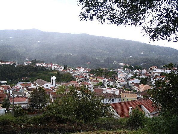Birdwatching Day in the Monchique Hills - Itinerary