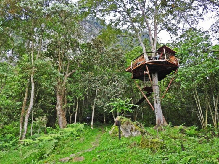 Birdwatching Day Tour at Chicaque Natural Park - Good To Know