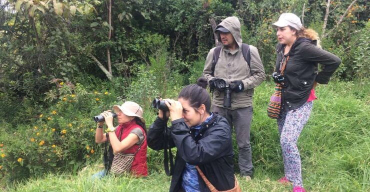 Birdwatching Day Tour at Chicaque Natural Park - Tour Details and Itinerary