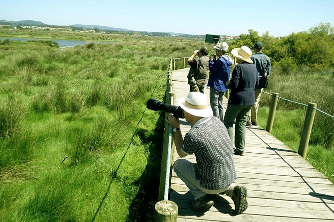 Birdwatching From Porto - Overview and Tour Details