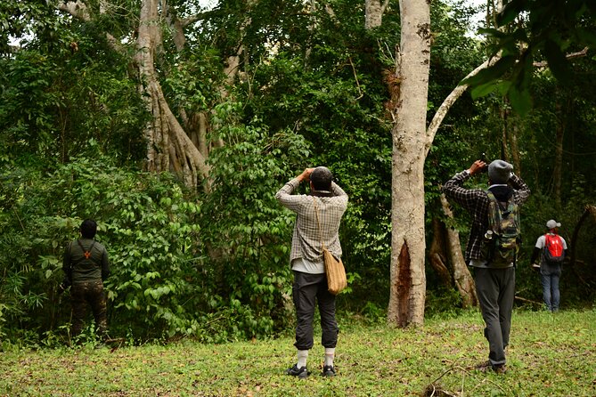 Birdwatching in Coba From Tulum - Experience Ecotourism Initiatives in a Mayan Home