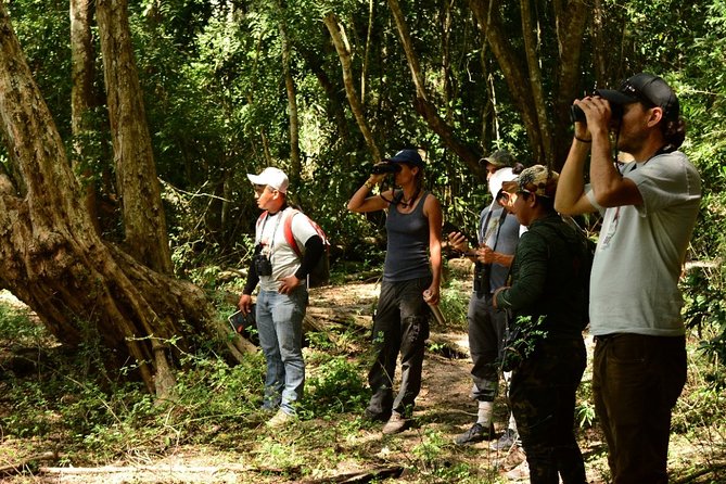 Birdwatching in Coba From Tulum - Common Questions