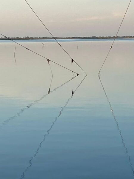 Birdwatching: in Laguna Di Venezia - Itinerary and Highlights