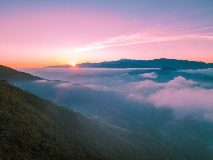 Birdwatching in Minca Sierra Nevada De Santa Marta - Tour Details
