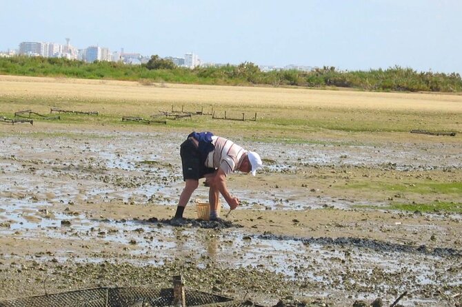 Birdwatching in Ria Formosa - Eco Boat Tour From Faro - Common Questions