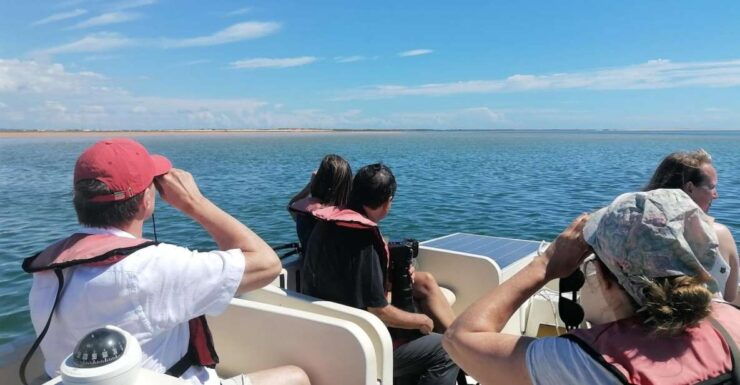 Birdwatching in Ria Formosa: Eco Boat Tour From Faro - Experience Highlights