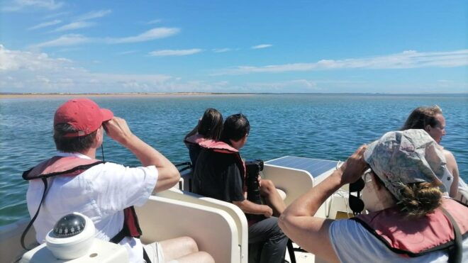 Birdwatching in Ria Formosa: Eco Boat Tour From Faro - Navigate Ria Formosa