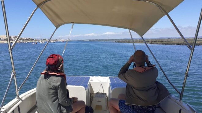 Birdwatching in Ria Formosa: Eco Boat Tour From Faro - Learn About Shellfish Farming
