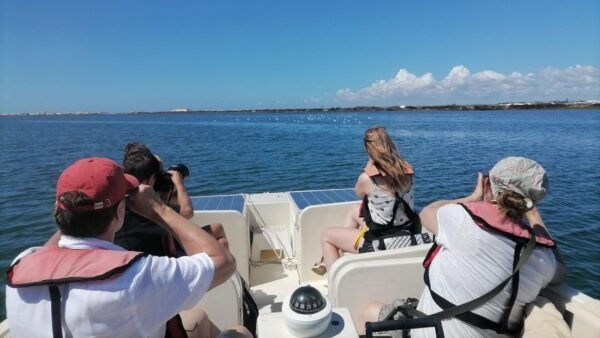 Birdwatching in Ria Formosa: Eco Boat Tour From Faro - Reservation and Payment