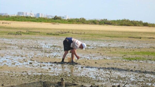 Birdwatching in Ria Formosa: Eco Boat Tour From Faro - Customer Reviews