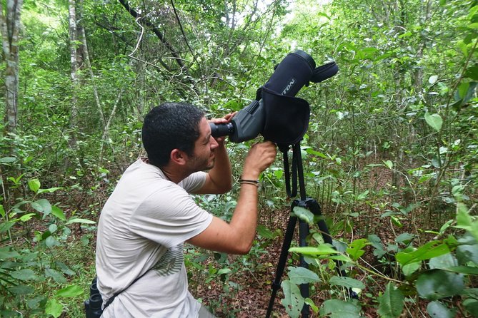 Birdwatching in Sian Kaan and Muyil Archaeological Site From Tulum - Cancellation Policy for the Birdwatching Tour