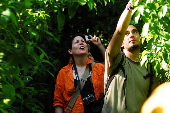 Birdwatching in Sian Kaan and Muyil Archaeological Site From Tulum - Reviews and Ratings for the Birdwatching Tour