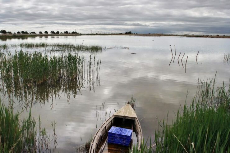 Birdwatching in the Ebro Delta - Meeting Point Details