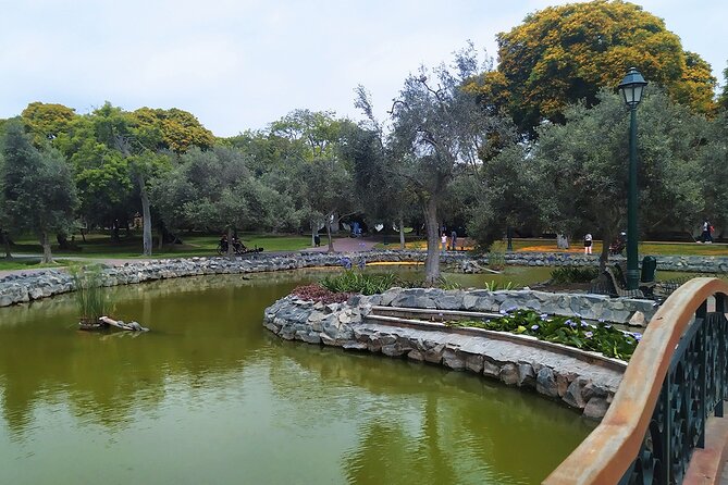 Birdwatching & Landscaping Tour in Lima - How to Enhance Your Landscaping Skills