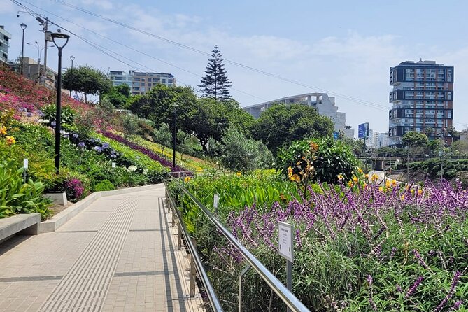 Birdwatching & Landscaping Tour in Lima - Recommended Equipment for Birdwatching