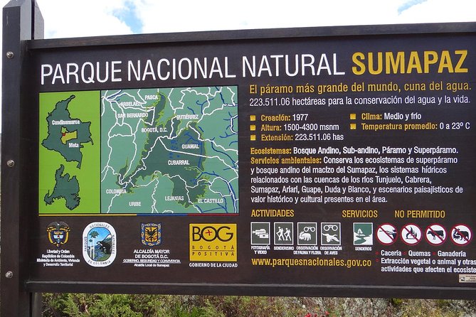 Birdwatching, Nature & Photography in Sumapaz National Park - Birdwatching Opportunities in Sumapaz