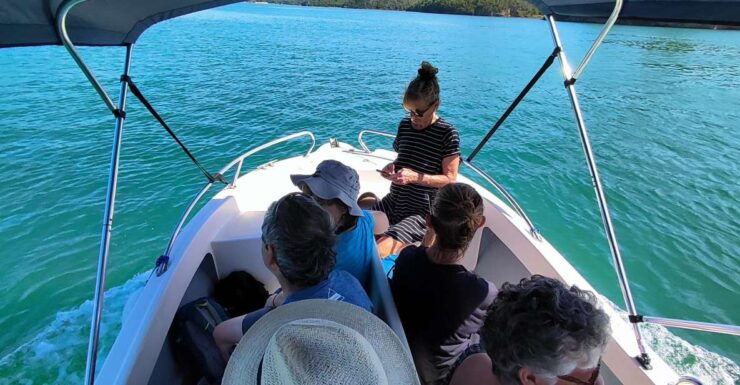 Birdwatching Rio Mira in Vila Nova De Milfontes - Experience Highlights