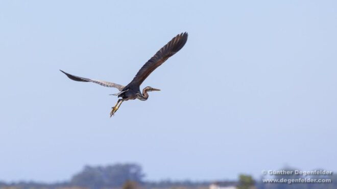 Birdwatching Solar Boat Tour Aveiro Lagon - Important Information