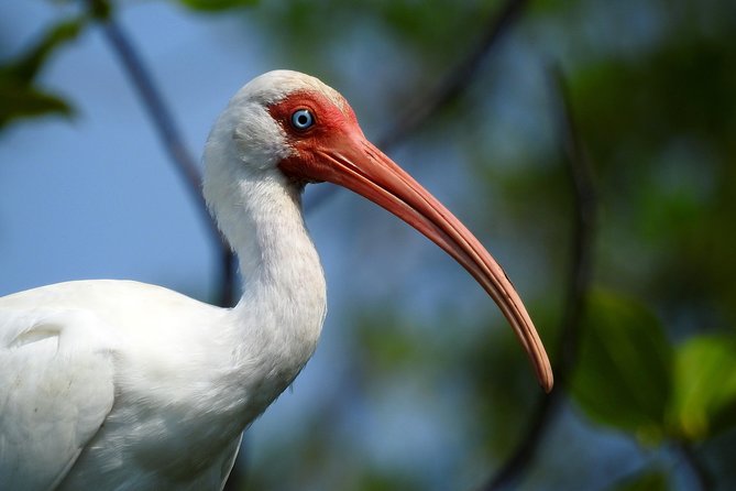 Birdwatching Tour - Location and Meeting Point