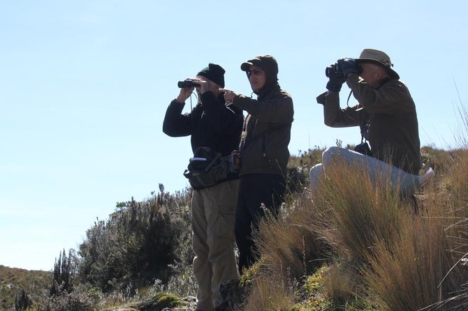 Birdwatching Tour in Cajas National Park From Cuenca - Tour Pricing and Duration