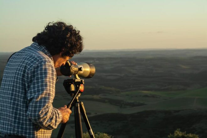 Birdwatching Tour in Mértola and Castro Verde Region - Location and Scenery