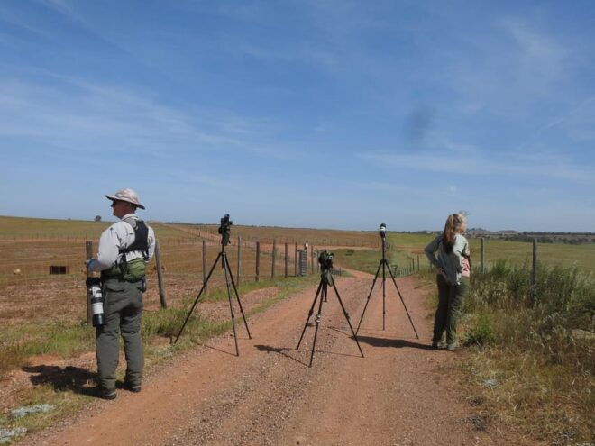 Birdwatching Tour in Mértola and Castro Verde Region - Booking Information