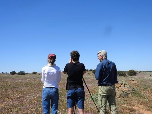 Birdwatching Tour in Mértola and Castro Verde Region - Tour Duration
