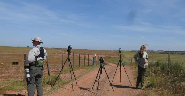 Birdwatching Tour in Mértola and Castro Verde Region - Cancellation Policy