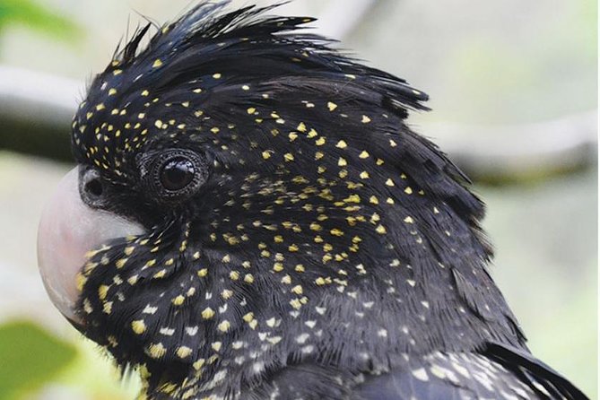 Birdworld Kuranda Entry Ticket - Convenient Customer Support Options
