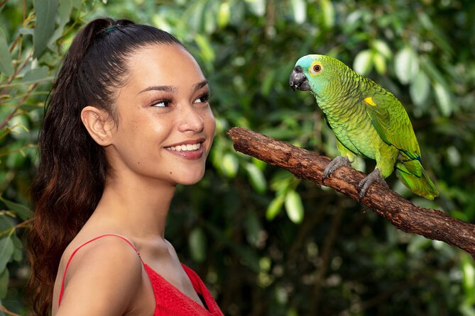 Birdworld Kuranda Entry Ticket - Additional Information and Product Details