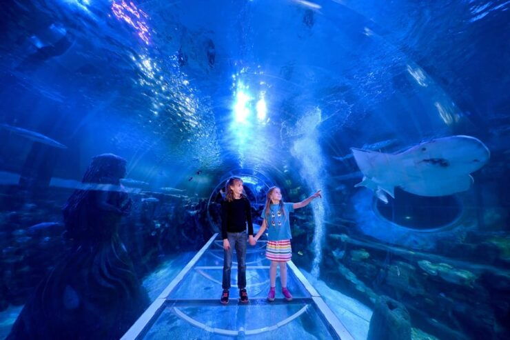 Birmingham: Cadbury World + SEA LIFE + LEGOLAND Discovery - Booking Information