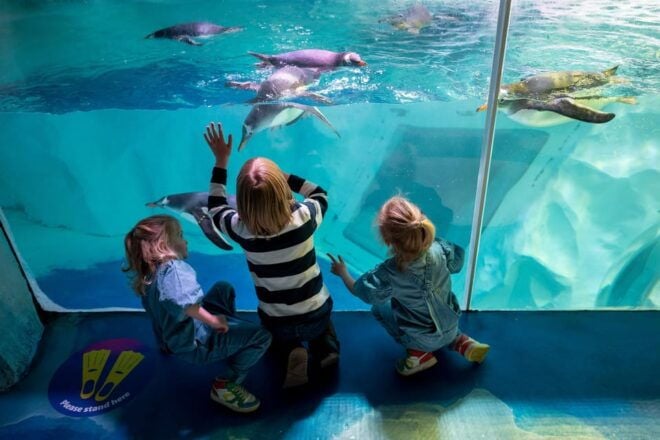 Birmingham: Cadbury World + SEA LIFE + LEGOLAND Discovery - SEA LIFE Birmingham Experience