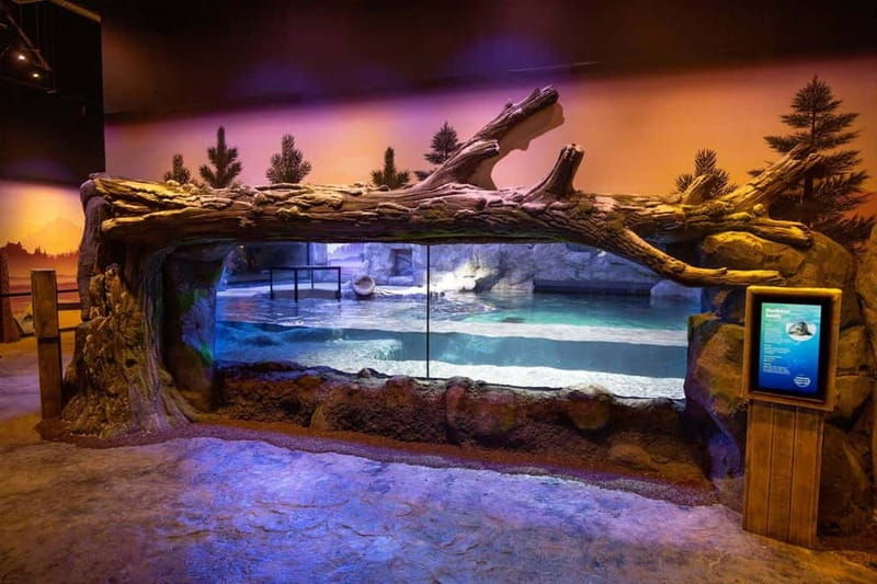 Birmingham: National Sea Life Centre Entrance Ticket - Full Breakdown of the Experience