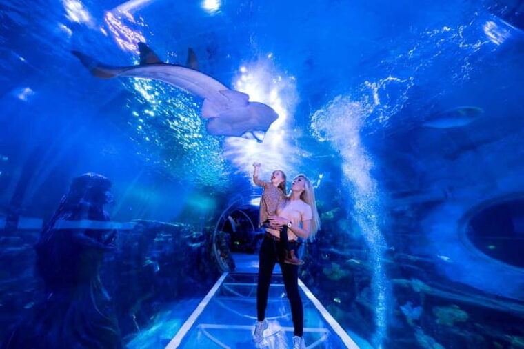 Birmingham: National Sea Life Centre Entrance Ticket - Who Will Love This Experience?