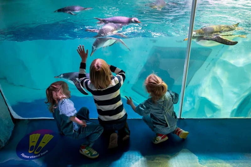 Birmingham: National Sea Life Centre Entrance Ticket - Good To Know