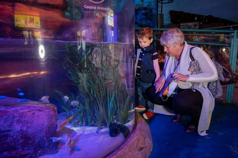 Birmingham: National Sea Life Centre Entrance Ticket - Frequently Asked Questions