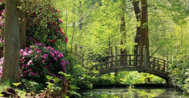 Birmingham: Winterbourne House and Garden Admission Ticket - Other Attractions in Birmingham