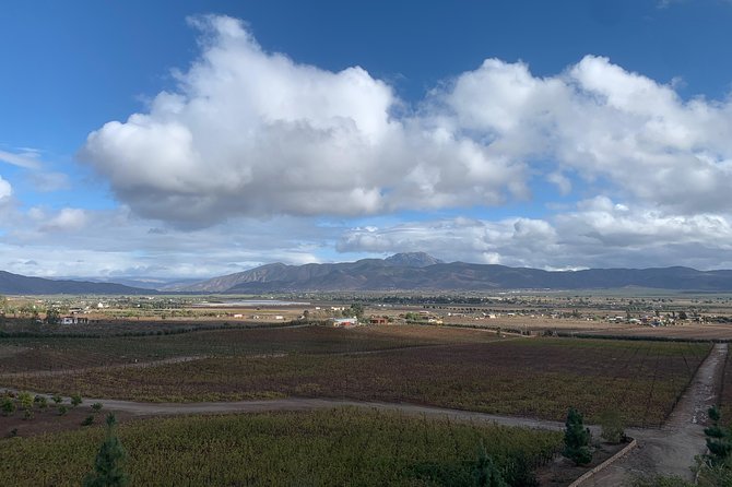 Birthday & Bachelorette Party Valle De Guadalupe & Four Fours - Exploring Four Fours: Wineries, Food, and More
