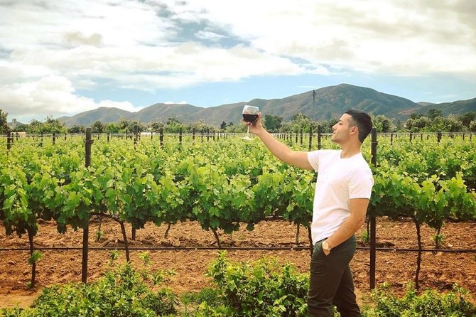 Birthday & Bachelorette Party Valle De Guadalupe & Four Fours - Tips for Planning a Memorable Party Weekend