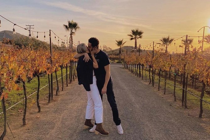 Birthday & Bachelorette Party Valle De Guadalupe & Four Fours - Must-Try Activities and Attractions in Valle De Guadalupe