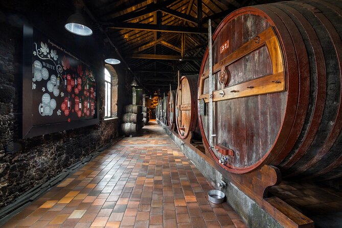 Birthplace of Portugal - Porto Private Tour From Lisbon - The Sum Up