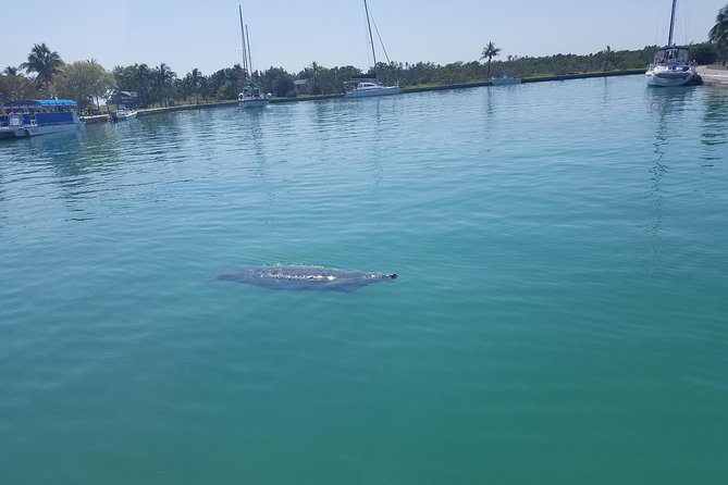 Biscayne National Park By Boat With Island Visit and Park History - Meeting and Pickup