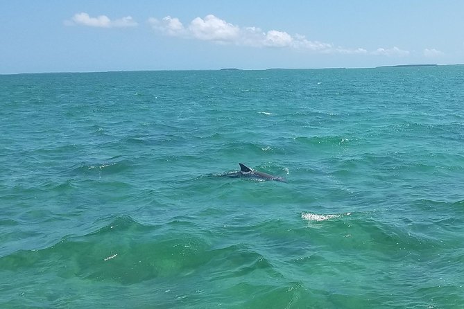Biscayne National Park By Boat With Island Visit and Park History - Reviews and Price