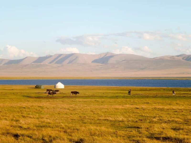 Bishkek: 2-Day Adventure tour to Song-Kol Lake - Good To Know